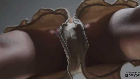 Media: Video of a close-up of a woman's chest, focusing on her cleavage and lace bra, with a blurred background.