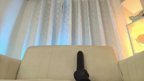 Media: Video of a cream-colored leather sofa with a black dildo standing upright on its backrest. White curtains with light blue floral patterns in the background. Warm yellow light from a lamp on the right side.