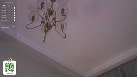 Media: Video of a modern, minimalist ceiling light fixture with a white, circular shade and four small, round, metallic lights. The fixture hangs from a flat, white ceiling.