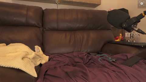 Media: A video shows a cozy, dimly lit living room with a dark brown leather couch, a yellow blanket, and a maroon throw, featuring a microphone on a stand and a small table with colorful decorations.