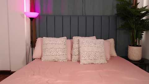 Media: Video of a modern bedroom with a grey upholstered headboard, pink bedspread, two white lace pillows, a tall floor lamp with a pink light, and a large green plant in a white pot on the right.