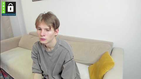 Media: A video of a young, Caucasian man with light brown hair, wearing a gray sweatshirt, sitting on a beige couch with a mustard-yellow throw pillow. The background is a plain white wall.