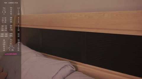 Media: Video of a modern bed with a light wooden headboard and a dark, textured panel on the wall. The bed has white bedding and a plush pillow. A calendar with a pink \"Lovehoney\" logo is partially visible on the left.