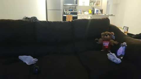 Media: A dimly lit video of a living room with a plush, dark brown sectional sofa. A stuffed bear wearing a red shirt is seated on the sofa, surrounded by white and blue socks scattered around. In the background, a kitchen with a white fridge and countertops is visible.