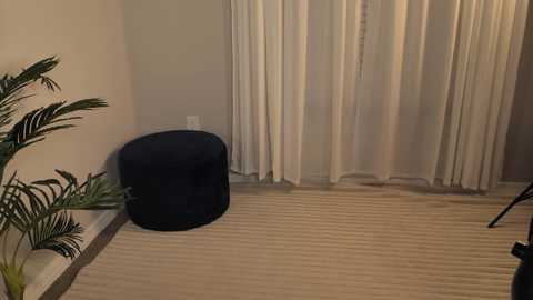 Media: A video of a minimalist, beige-walled room with a dark blue, round ottoman, a potted palm plant, and sheer, white curtains partially drawn. The floor has light beige carpeting.