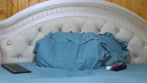 Media: Video of a neatly made bed with a light blue blanket, white headboard, and wooden paneled wall; remote control and toy near pillow.