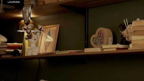 Media: Video of a dimly lit, cluttered desk with a wooden shelf holding various items, including books, framed artwork, and a decorative heart-shaped box.