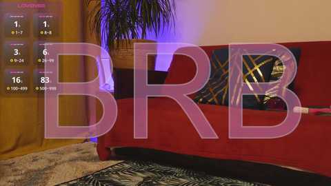 Media: A video of a cozy bedroom with a red bed, a potted plant, a textured rug, and a digital overlay displaying \"BRB\" in pink, indicating an online status.