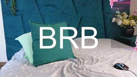 Media: Video of a bed with a teal headboard, green pillow, beige quilt, and a black mouse on the right, overlaid with the \"BBR\" logo.