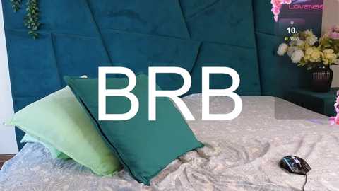 Media: Video of a teal, upholstered headboard with two green pillows and a beige duvet, featuring a white \"BBR\" text overlay and a pink \"LOVE\" sign.