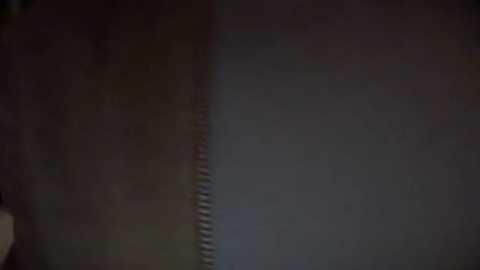 Media: A blurry, dark video captures the edge of a textured, possibly wooden surface with a vertical seam, hinting at a panel or door. The background is indistinct and dimly lit, with shadows suggesting an indoor setting.