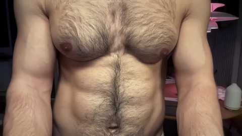 Media: Video of a muscular, hairy-chested man, showing his abdomen, chest, and arms, with a background featuring a pink lampshade and cluttered shelf.