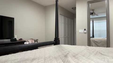 Media: Video of a minimalist bedroom with beige walls, a black wooden bed with a white bedspread, a flat-screen TV, a ceiling fan, and a closet with a mirror.