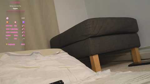 Media: Video of a dark brown couch with light wood legs, partially covered in white sheets, in a minimalist room with beige walls and a white curtain.