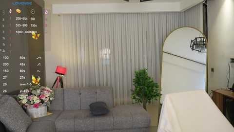 Media: A video of a modern living room featuring a gray sectional sofa, a potted plant, a mirror, and a large window with sheer curtains.