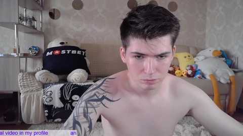 Media: Video of a young, fair-skinned, shirtless man with short brown hair, tattoos, and a serious expression, sitting in a cozy, patterned room with plush toys, a \"MOTHER\" hat, and a white sofa.