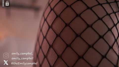 Media: Close-up video of a woman's thigh in black fishnet stockings, showing the grid pattern and skin texture. Background is blurred, focusing attention on the fishnet. Social media handles are visible.