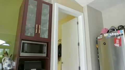 Media: A video of a modern kitchen corner with a dark wooden cabinet, glass shelves, a microwave, and a white door leading to a hallway. The refrigerator is adorned with magnets and a pink helmet.