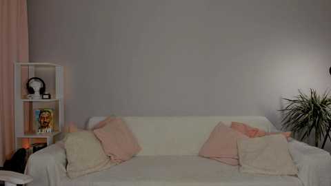 Media: A video of a minimalist living room with a white couch adorned with pink and beige cushions, a gray wall, a small bookshelf, and a potted plant.