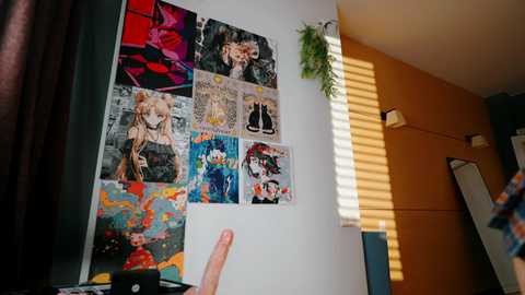 Media: Video of a wall with multiple colorful, vibrant posters, featuring anime characters and abstract art. A hand is seen adjusting a poster on the left, while sunlight streams through blinds on the right.