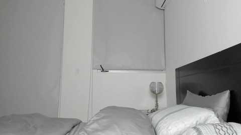 Media: A monochromatic video of a minimalist bedroom with two beds, white bedding, a modern lamp, and a large window with a closed gray blind.