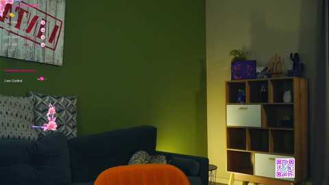 Media: Video of a cozy living room with a green wall, a dark blue sofa, a wooden shelving unit, and a vibrant orange blanket, featuring a pink neon sign reading \"LIVE NOW\" on the left.