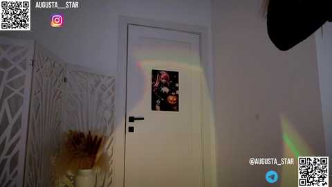 Media: A video captures a white door with a cartoon vampire poster, decorated with dried flower arrangements. The background features a white room with a QR code and social media icons.