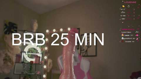 Media: A video showing a large, realistic-looking pink dildo in a dimly-lit room with a BB25 MIN title overlay. The background features a mirror with fairy lights, a shelf with toys, and a pink mannequin.