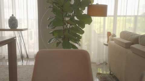 Media: Video of a modern living room with light beige furniture, a tall potted plant, sheer curtains, and a floor lamp with an orange shade.