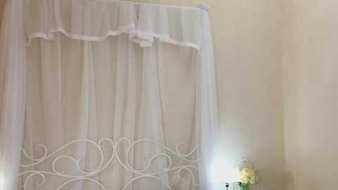 Media: Video of a white, wrought-iron bed frame with sheer, ruffled curtains partially drawn. The curtains cascade elegantly, revealing an ornate, floral-patterned bedspread underneath. The background features a light beige wall and a small, white bedside lamp emitting a soft glow.