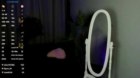 Media: Video of a dimly lit room with a white oval mirror, a pink plush toy, and a green potted plant. The background includes a black curtain and a small TV displaying a video game screen.