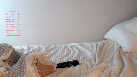 Media: Video of a messy, unmade bed with a black dildo on the white duvet, surrounded by rumpled, light-colored blankets and pillows. A small, colorful chart is pinned to the plain white wall.