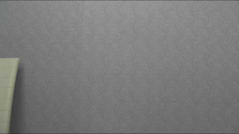 Media: Video of a textured, light gray wall with faint, subtle patterns. In the lower left corner, a green and white checkered piece of paper is partially visible. The overall composition is simple and minimalistic.