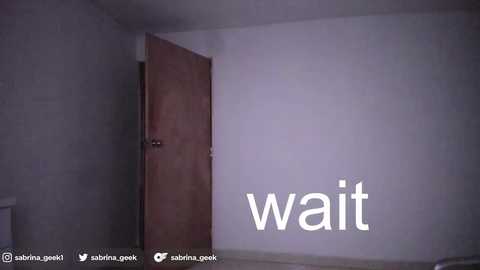 Media: Video of a dimly lit, sparsely furnished room with a partially open door, showing a plain white wall and the word \"wait\" in white text.