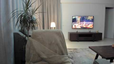 Media: Video of a modern living room with beige curtains, a flat-screen TV displaying a forest scene, a tall potted plant, a sofa with a blanket, and a wooden coffee table.