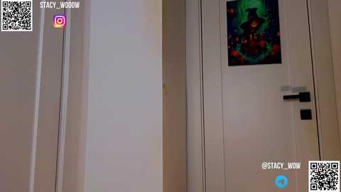 Media: A video of a white door with a colorful, abstract art print depicting a tree and leaves. The door has a black handle and a QR code on the left side.