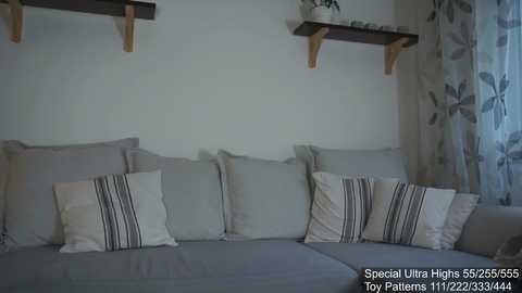 Media: Video of a modern living room featuring a gray sectional sofa with three decorative pillows and two wooden shelves mounted on a white wall. The background includes a floral curtain.