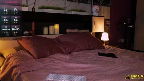 Media: Video of a dimly lit bedroom with a large bed, covered in a brown blanket, featuring two pillows and a laptop. Background includes a TV displaying a weather forecast and a nightstand with a lamp.