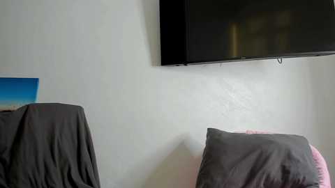 Media: A video of a minimalist bedroom with a black TV mounted on a plain white wall, a gray pillow and a pink one on the bed, and a framed photo of a beach on the left.