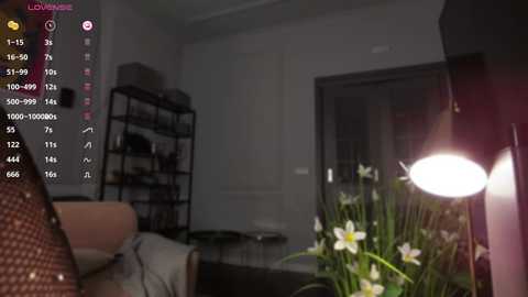 Media: Video of a dimly lit, modern living room with a beige couch, dark shelves, a large white lamp, and a vase of white and green flowers.