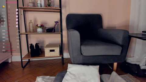 Media: Video of a cozy living room with a gray armchair, wooden shelves, and a black shoe rack on a wooden floor, featuring a minimalist, modern decor style.