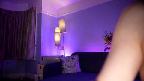 Media: Video of a dimly lit living room with a dark blue sofa, two modern floor lamps, beige curtains, and a decorative vase on a side table.