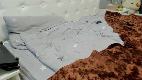 Media: Video of a neatly made bed with a light gray comforter featuring white star patterns, a brown, textured blanket, and a white, tufted headboard. The bed is in a cozy, well-lit bedroom with minimalistic decor.