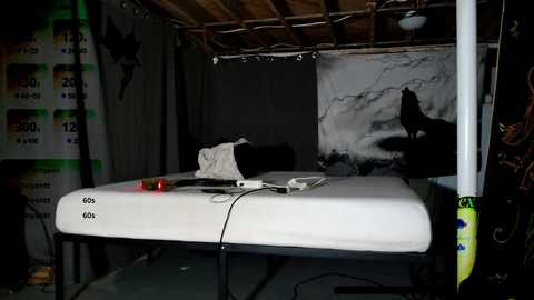 Media: Video of a dimly lit room with a white bunk bed against a black wall, featuring a red blanket and various objects on the bed.