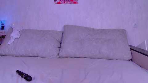 Media: A video of a cluttered bedroom with a large, messy bed covered in gray pillows and a white duvet. A black remote control and a white piece of clothing lie on the bed. The walls are plain white, with a small framed picture above the bed.