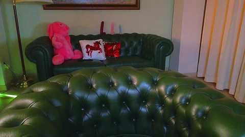 Media: Video of a cozy living room with a green, tufted leather sofa, a pink stuffed animal, and a decorative pillow with a red and white design.