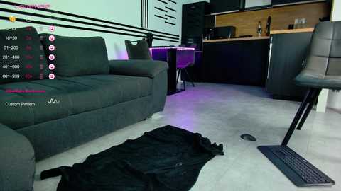 Media: Video of a modern living room with a dark gray sofa, custom furniture, and a black keyboard on the floor. Background features a kitchen with a counter and stools.