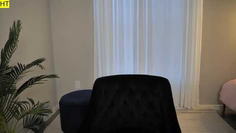 Media: Video of a modern, minimalist living room with a black, velvet armchair facing a white curtain-draped window. A potted palm plant and a pink couch are visible on the left and right, respectively.