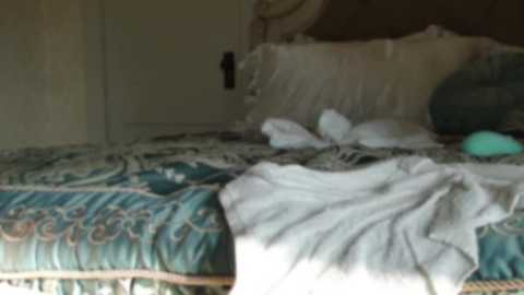 Media: Video of a messy bed with a blue and white patterned comforter, scattered pillows, and a white towel draped over the headboard. The room has beige walls and a closed door.