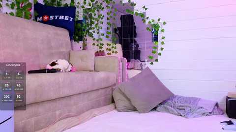 Media: Video of a cozy, cluttered bedroom with a cream-colored sectional sofa, a black-and-white cat sleeping on it, white brick wall, and green ivy.